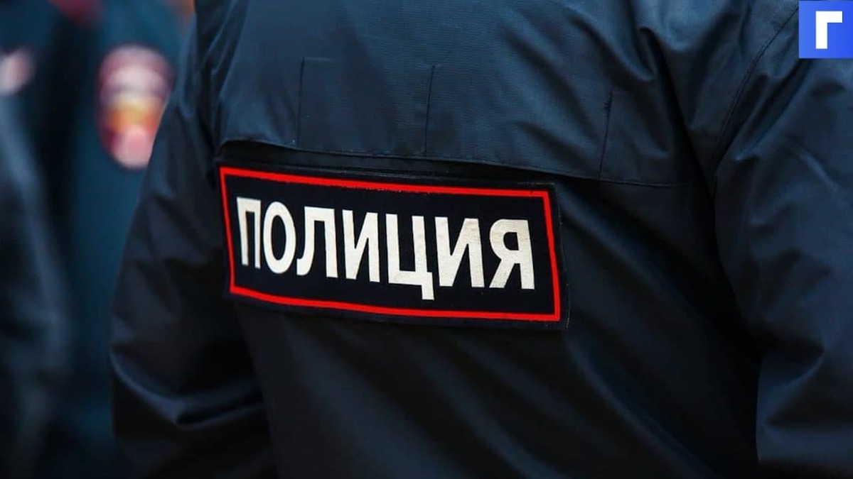 На участников акции 23 января в Москве завели дело о нарушении антиковидных мер