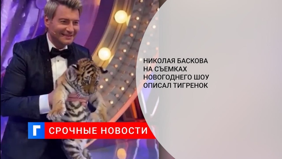 Николая Баскова на съемках новогоднего шоу описал тигр