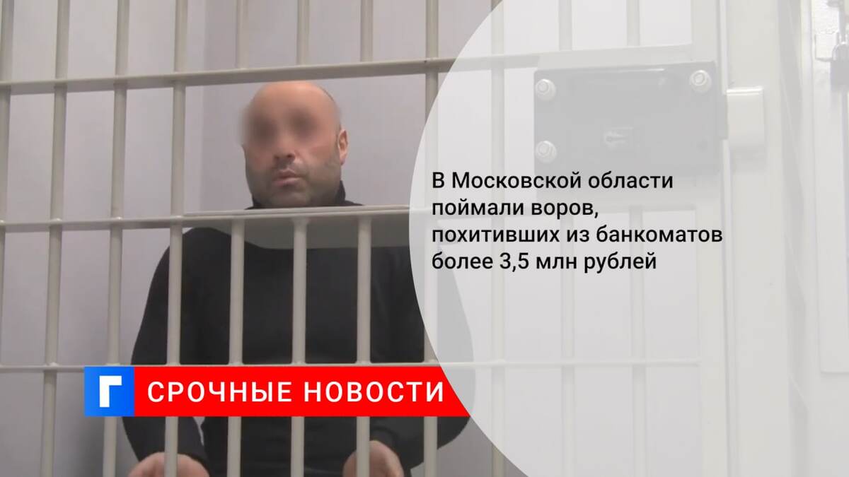 В Московской области поймали воров, похитивших из банкоматов более 3,5 млн рублей