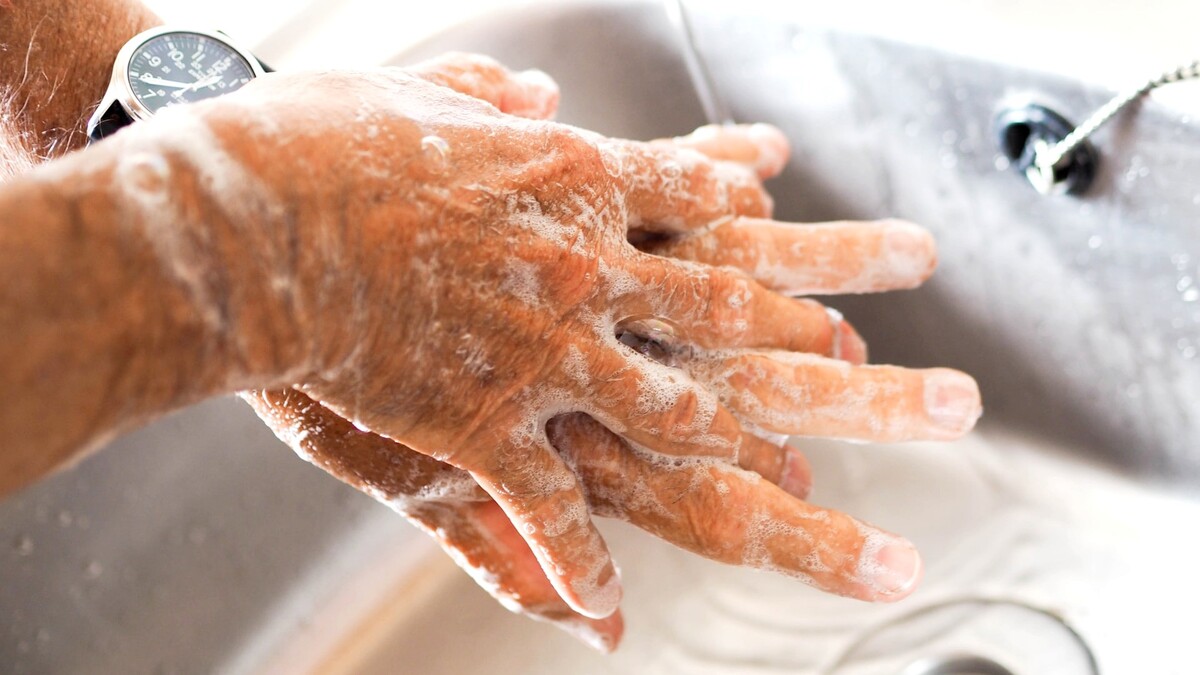 Доктор Мясников рассказал, как важно правильно мыть руки