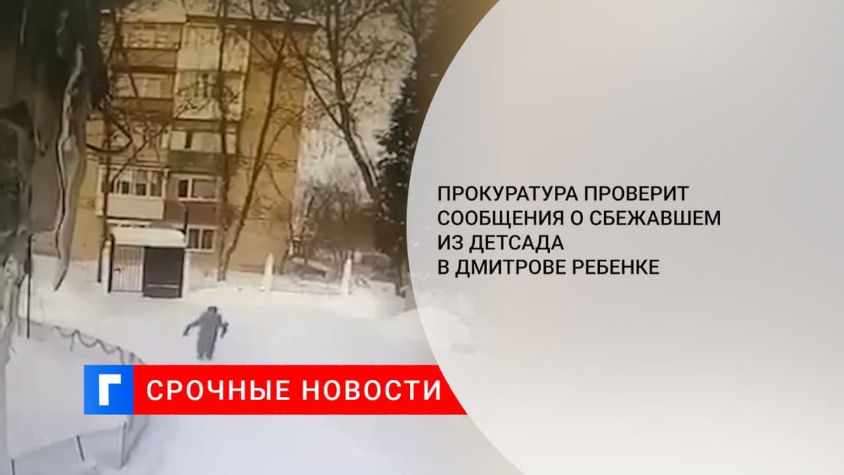 Прокуратура проверит сообщения о сбежавшем из детсада в Дмитрове ребенке