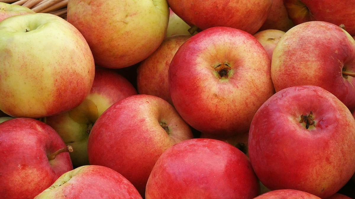 Зачем сохранять яблоки на зиму: отвечает диетолог