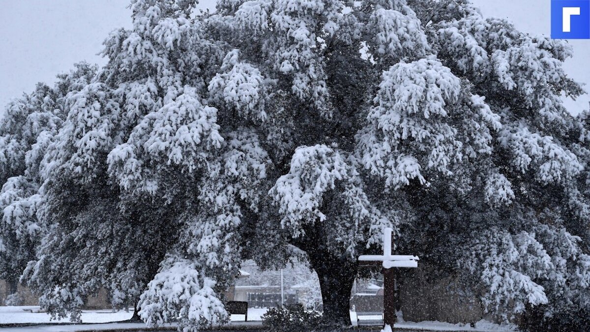 Снежная буря оставила без света более миллиона жителей Техаса