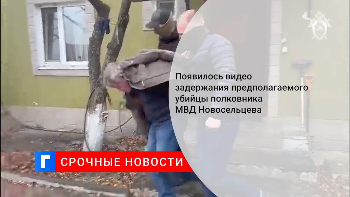 Появилось видео задержания предполагаемого убийцы полковника МВД Новосельцева