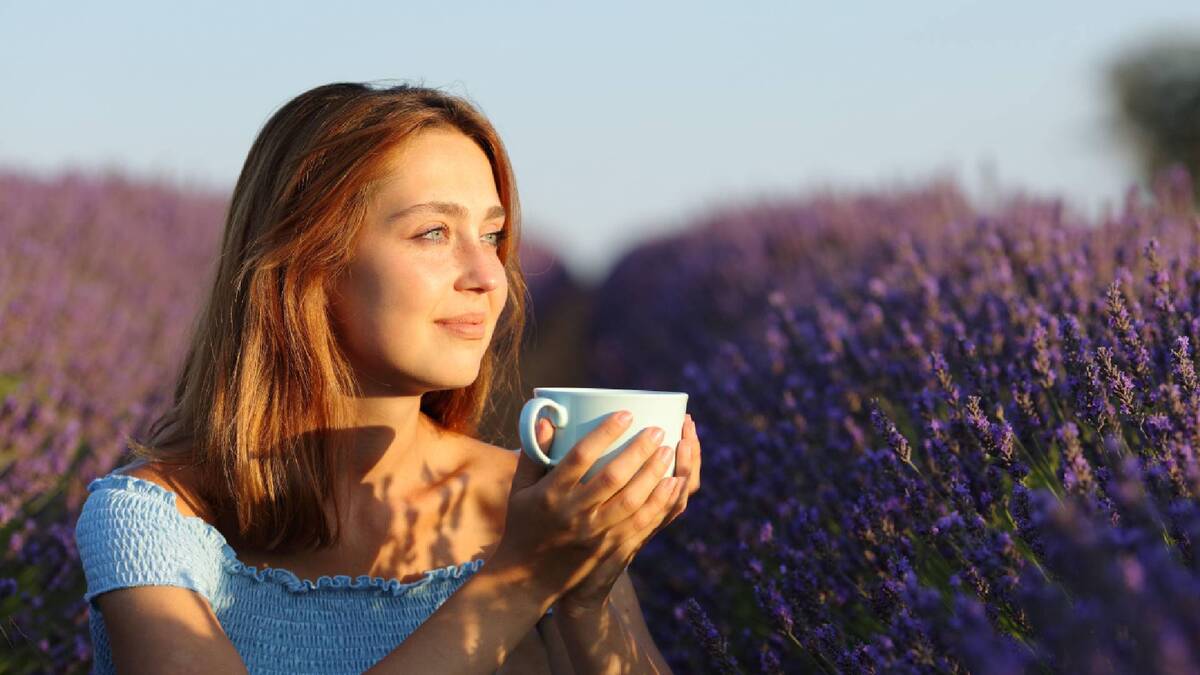 Взбодрит лучше чая и кофе: привычные напитки легко заменит ароматный настой