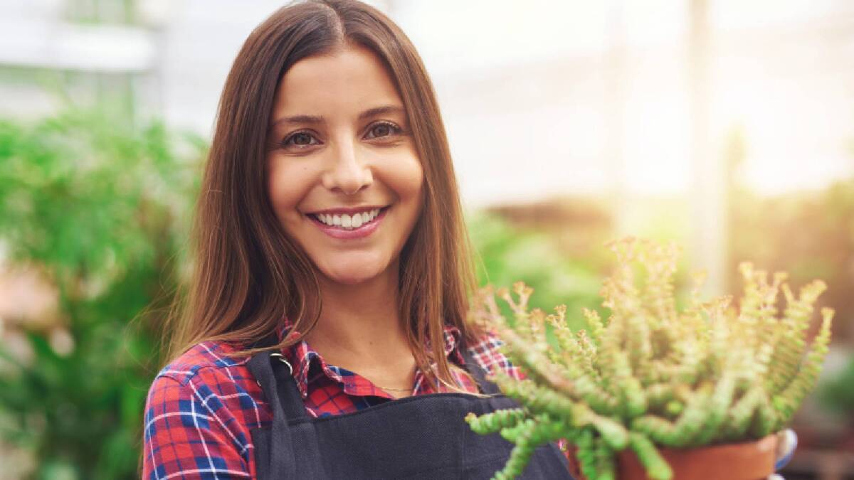 Пушистая кохия эффектно преобразит любой участок: сажайте у забора и вдоль бордюра
