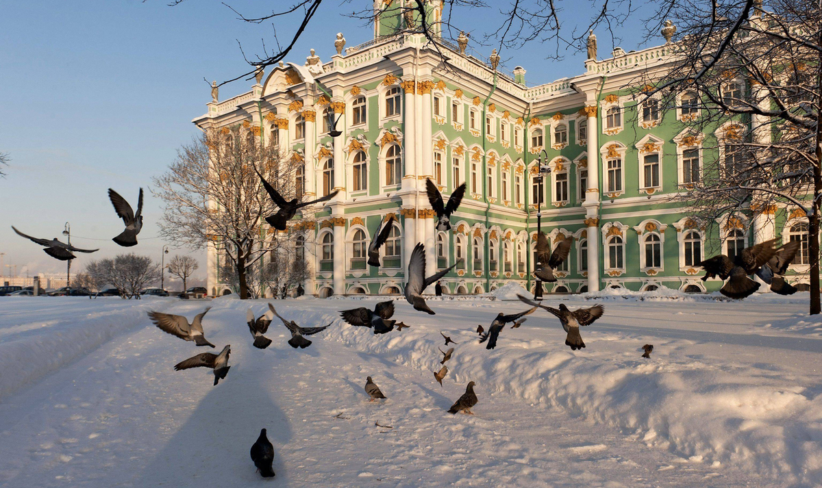 Жители Петербурга могут пережить «снежный кошмар» зимы 2019 года