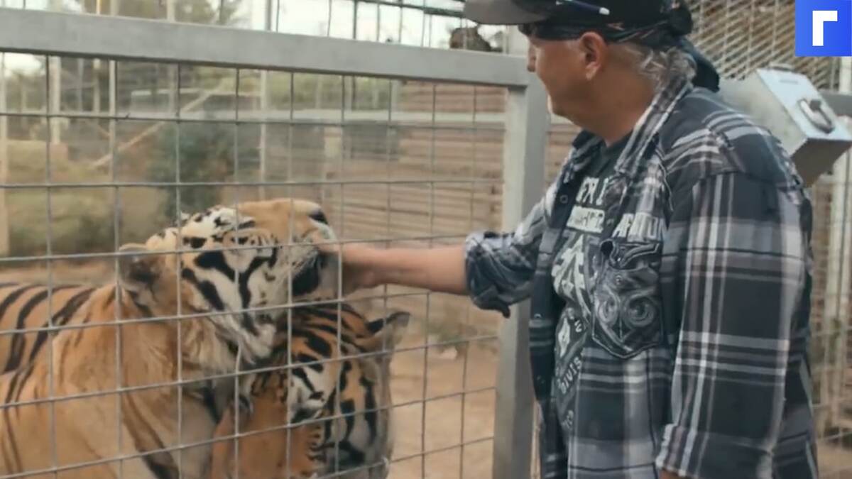 Netflix показал трейлер продолжения документального сериала «Король тигров»