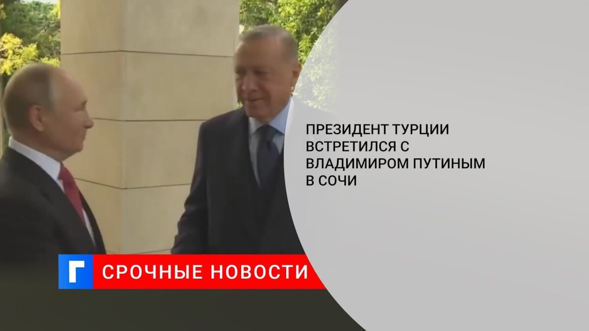 Президент Турции встретился с Владимиром Путиным в Сочи 