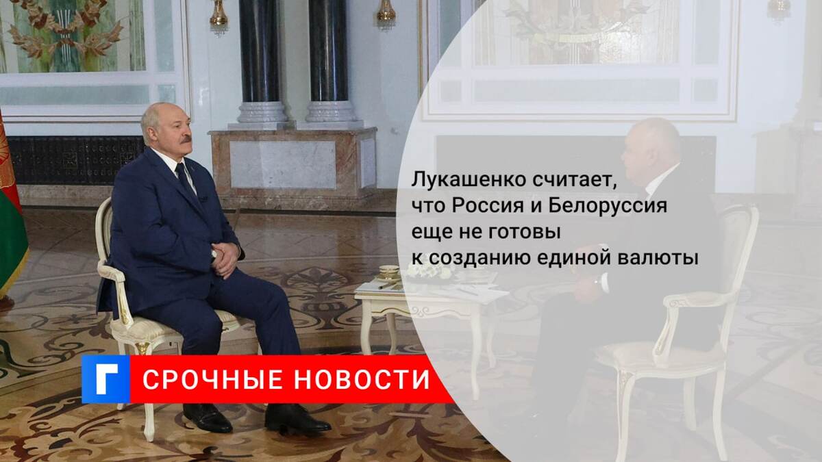 Лукашенко считает, что Россия и Белоруссия еще не готовы к созданию единой валюты