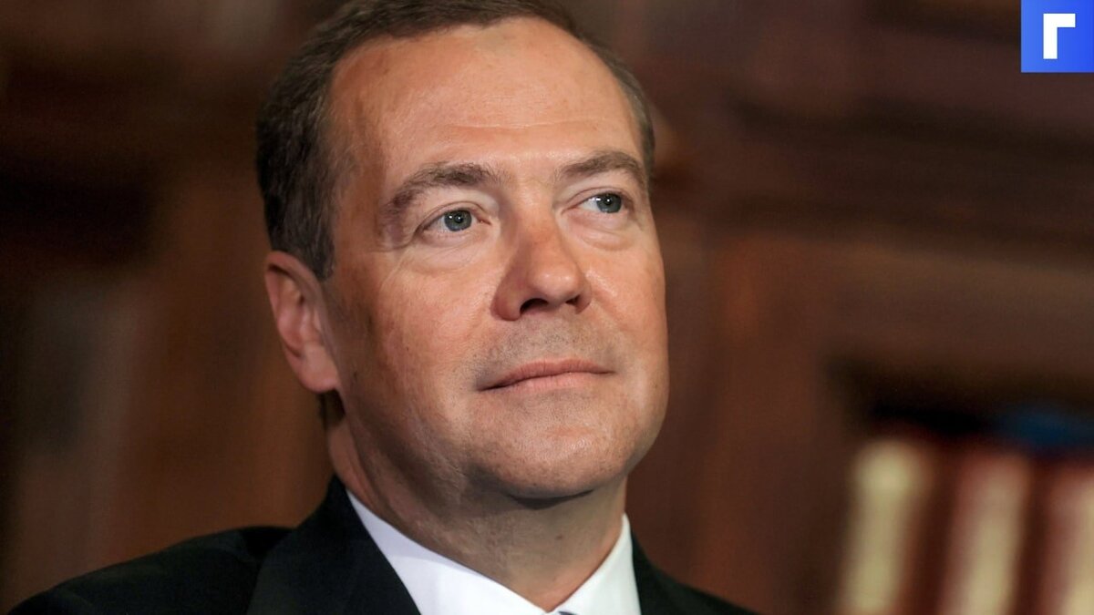 Медведев оценил вероятность отключения России от глобальной сети 