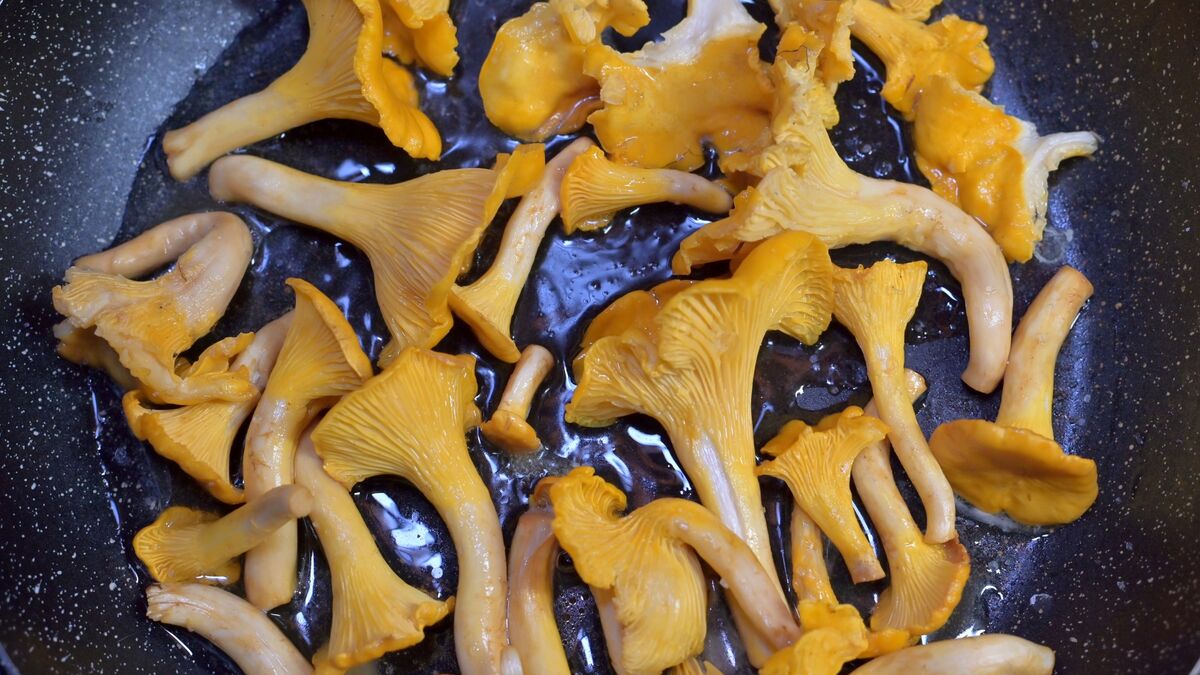 Шеф-повара грибы не маринуют: есть другой способ заготовки на зиму