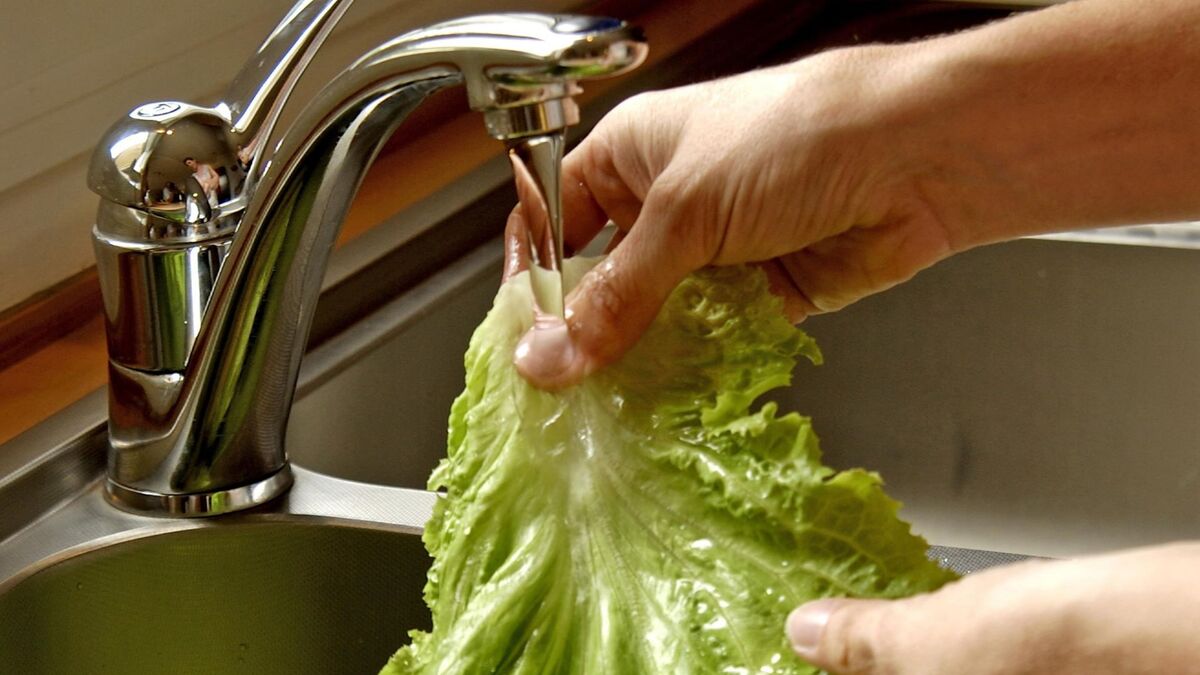 Покупную зелень нужно мыть только в такой воде: все химикаты мигом испарятся