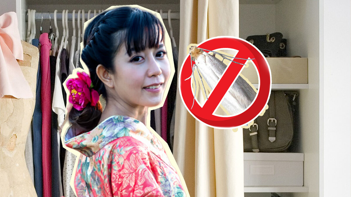 В домах у японских хозяек нет моли: насекомое отпугивают простым средством