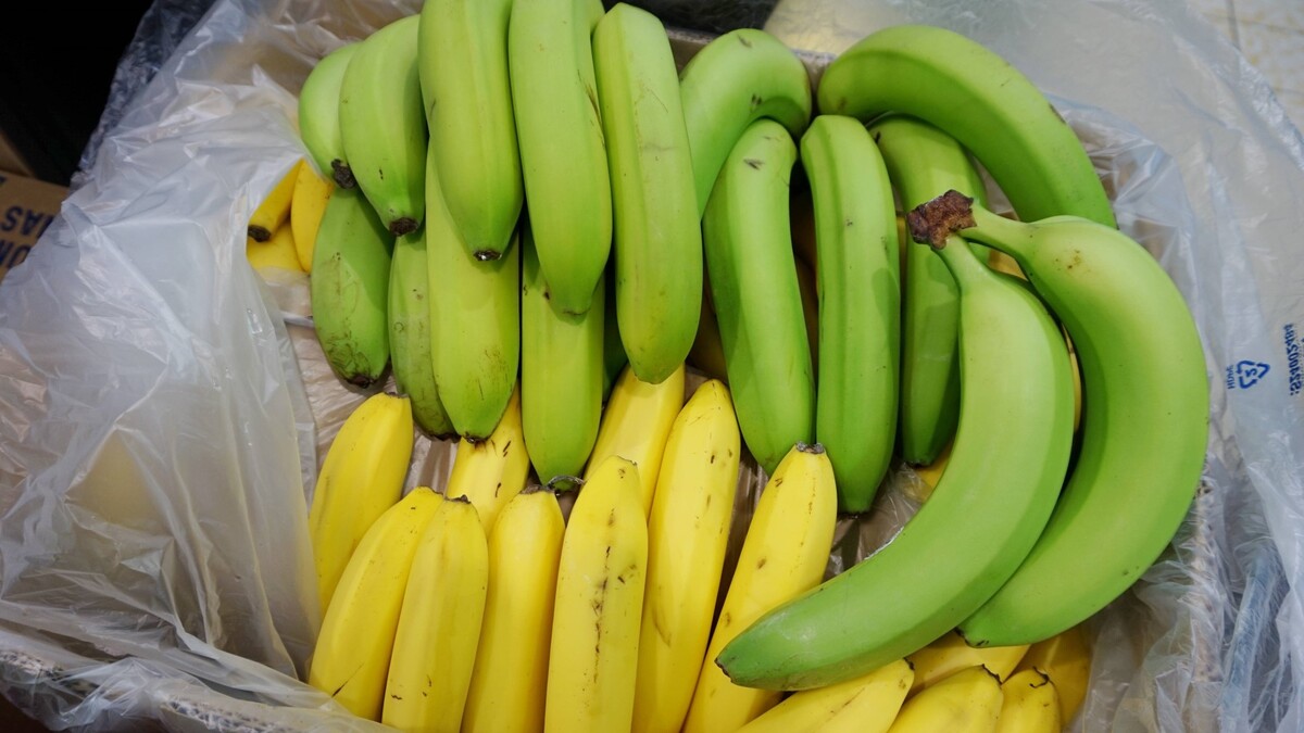 Бананы в СССР продавались зелеными не просто так: была веская причина