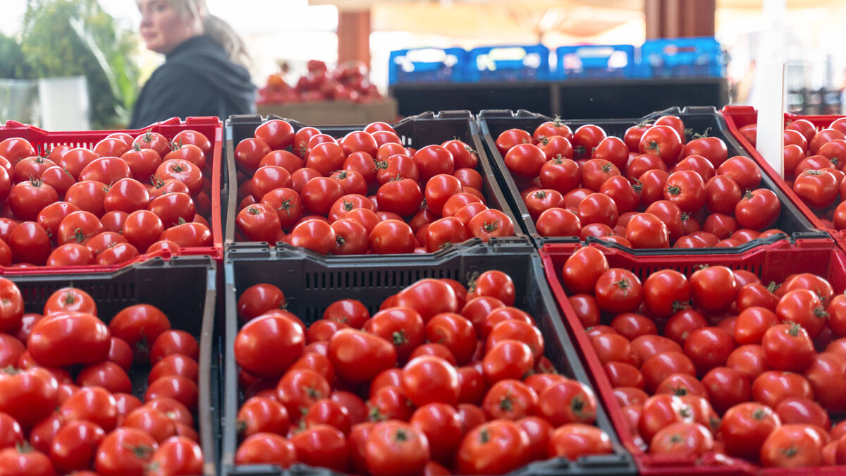 Вы и не догадывались: вот как торговцы на рынке выдают зеленые томаты за спелые