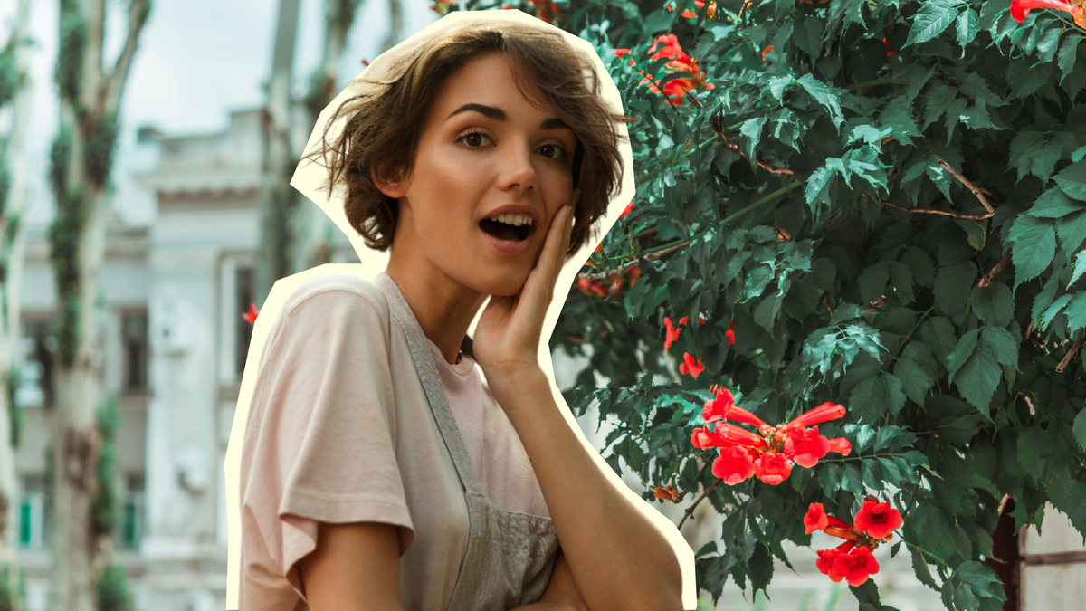 Портят стены дома и привлекают вредителей: не ведитесь на красоту и аромат этих цветов