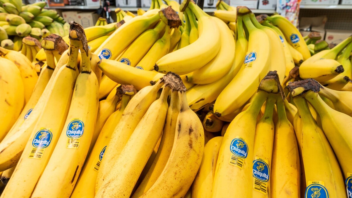 Знают лишь единицы: вот зачем на бананах нужны наклейки