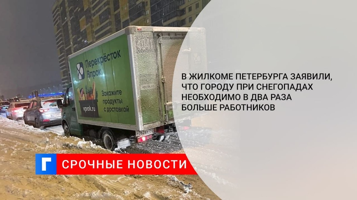 Зотов: Петербург в период снегопадов убирают в два раза меньше работников, чем нужно