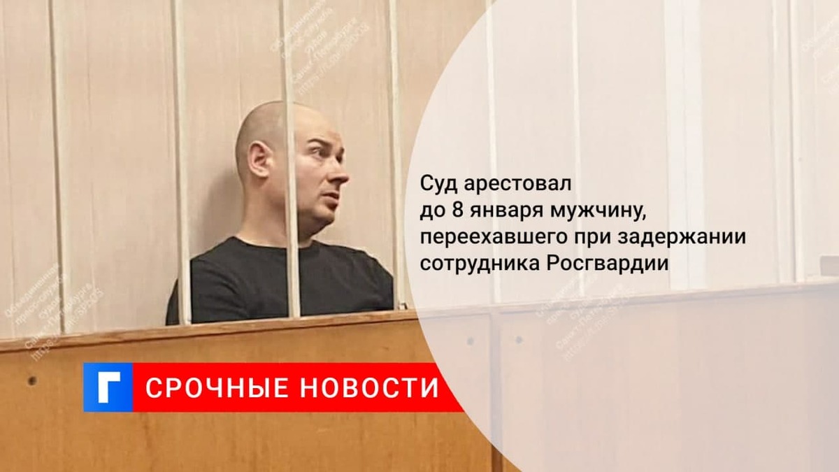 Суд арестовал до 8 января мужчину, переехавшего при задержании сотрудника Росгвардии