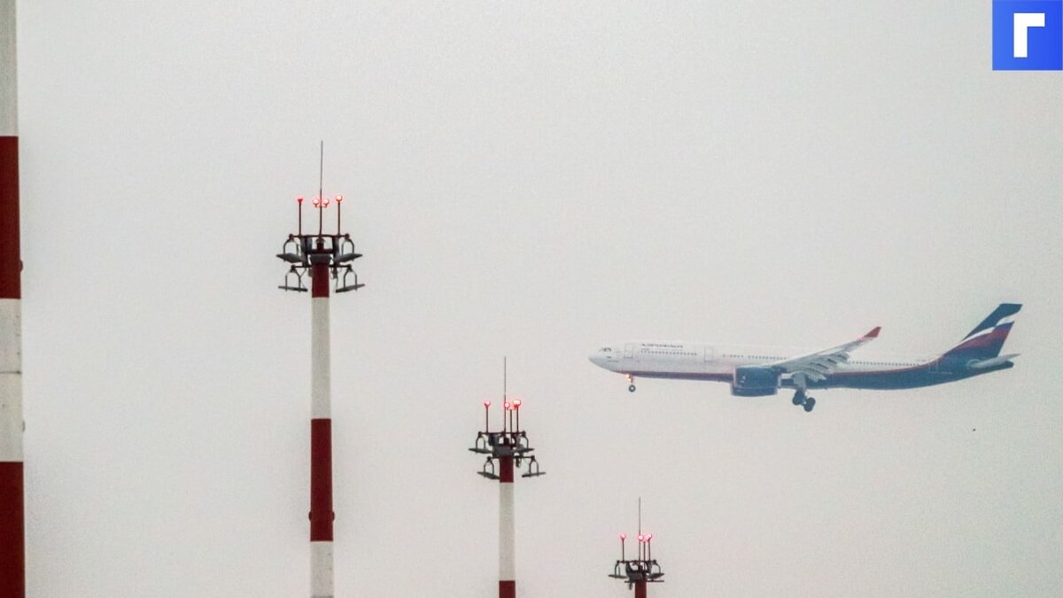 «Аэрофлот» предложил разрешить авиакомпаниям изменять условия перевозки пассажира