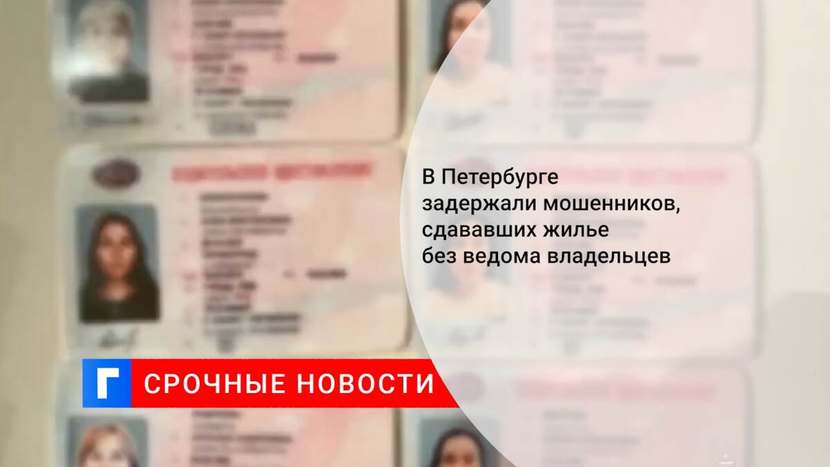 В Петербурге задержали мошенников, сдававших жилье без ведома владельцев