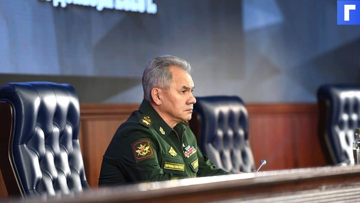 Шойгу заявил о перемещении войск США и НАТО к границам России
