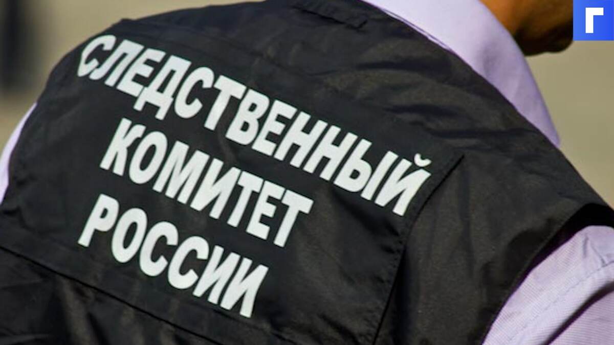 СК добивается ареста уроженки Украины, напавшей на полицейского в Москве 