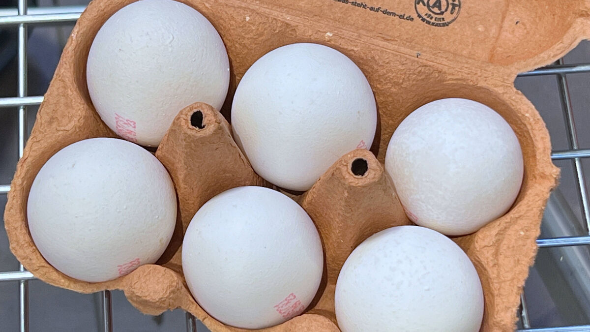 Можно ли морозить сырые яйца: в спорном вопросе расставили точки над i