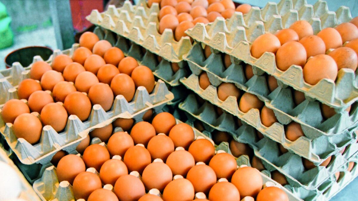 Куриные яйца будут храниться полгода и не испортятся: вот что делают хитрые хозяйки