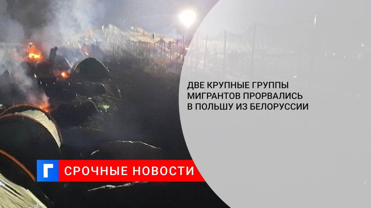 Две крупные группы мигрантов прорвались в Польшу из Белоруссии Две крупные группы мигрантов прорвались в Польшу из Белоруссии
