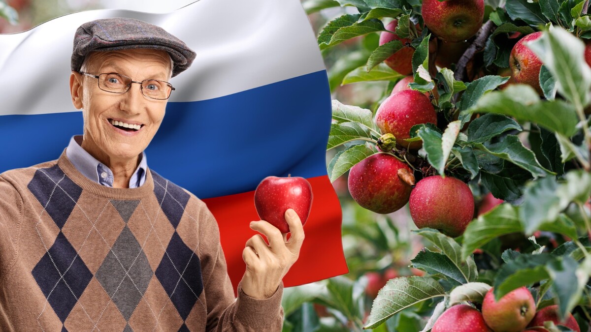 Любимый фрукт россиян: как яблоки стали национальным достоянием