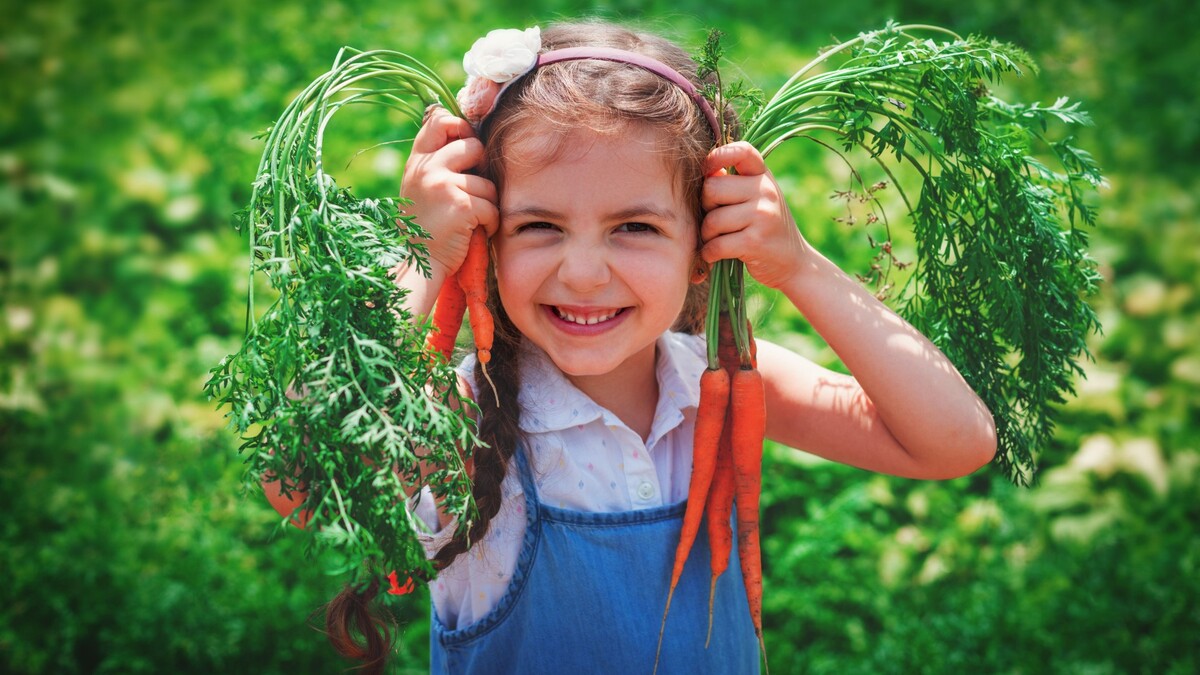 Приготовьте морковку по этому рецепту: дети и взрослые будут уплетать за обе щеки 