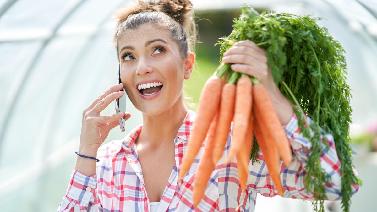 Морковь взойдет быстрее, чем у соседей: вот что нужно сделать с семенами