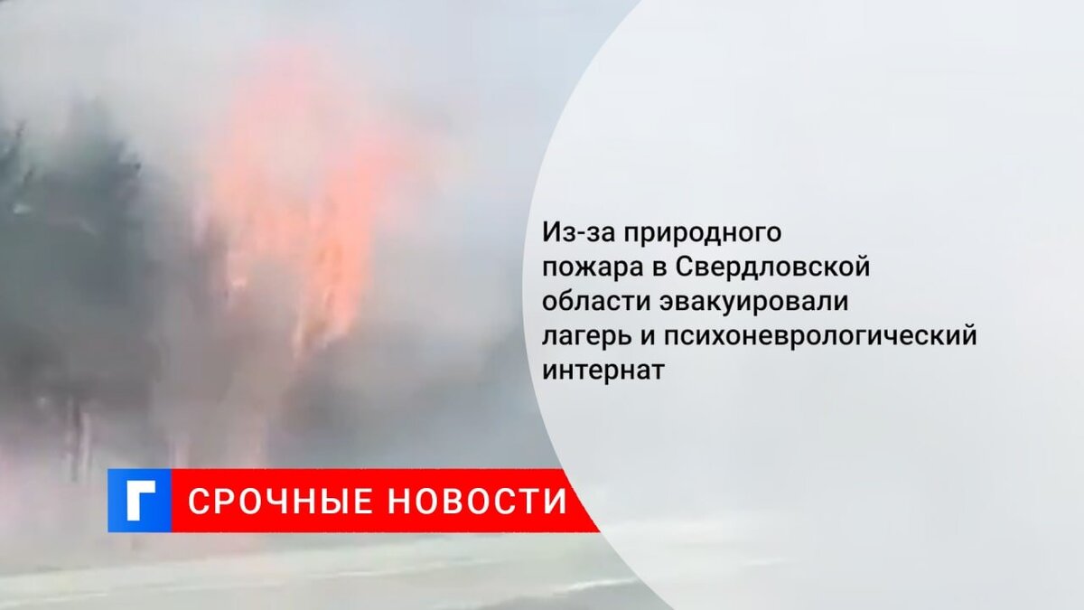 Из-за природного пожара в Свердловской области эвакуировали лагерь и психоневрологический интернат