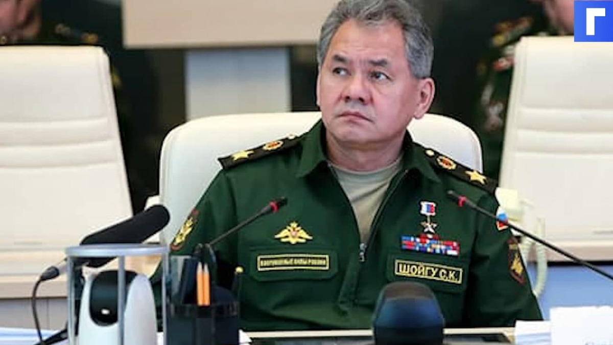 Шойгу сообщил о создании нового полка ВДВ в Крыму