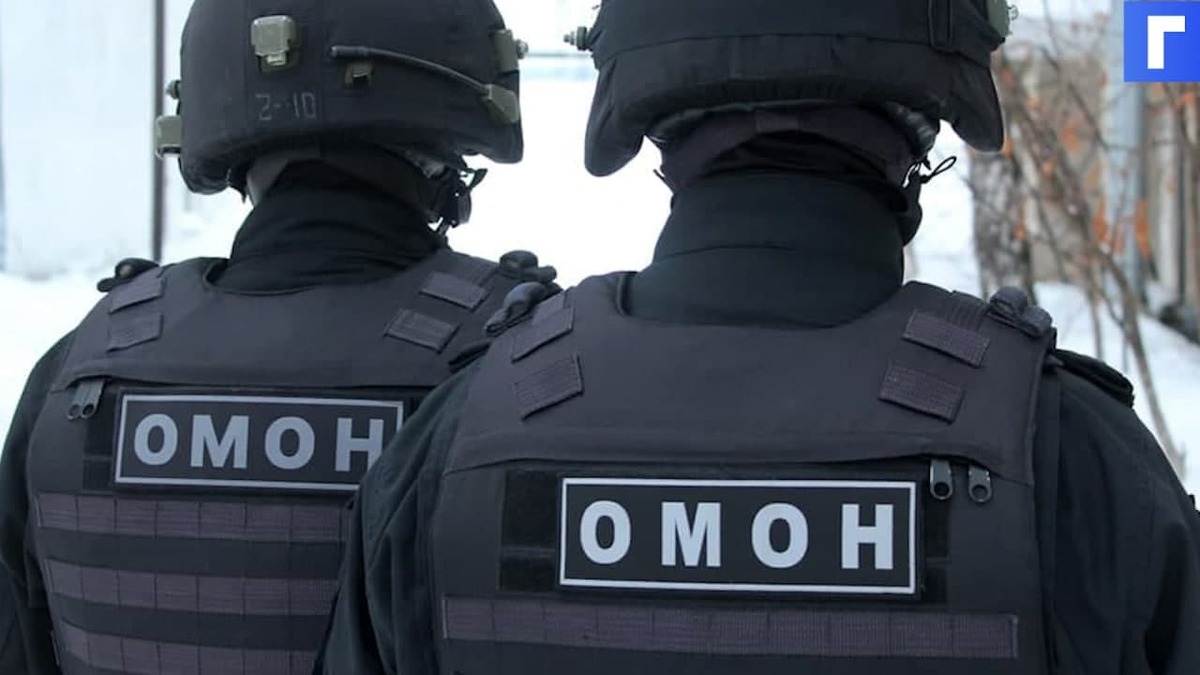Источник: в Москве проверят действия ударившего оператора ОМОНовца