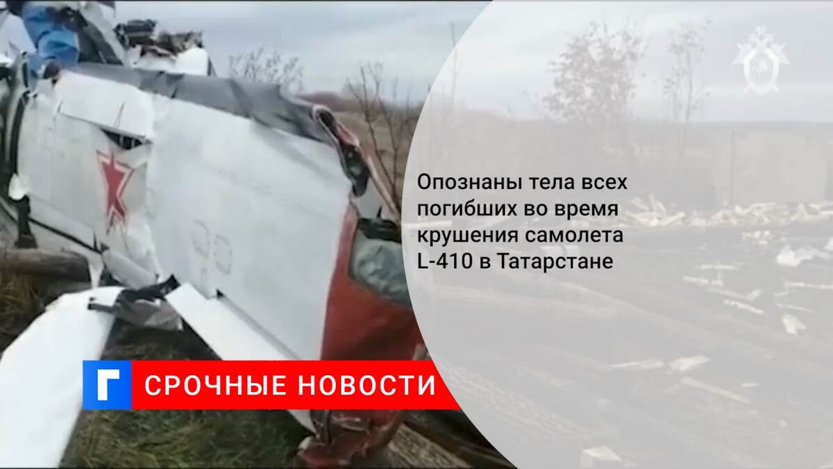 Опознаны тела всех погибших во время крушения самолета L-410 в Татарстане Опознаны тела всех погибших во время крушения самолета L-410 в Татарстане