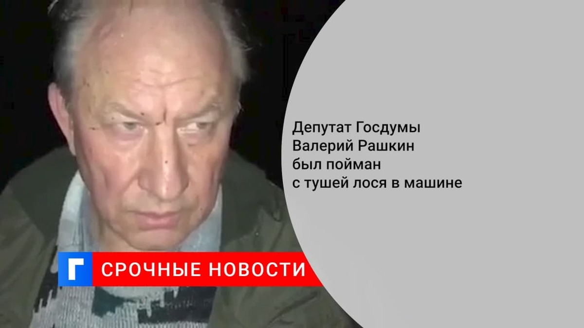 Депутата от КПРФ Валерия Рашкина задержали в Саратовской области с тушей лося в машине