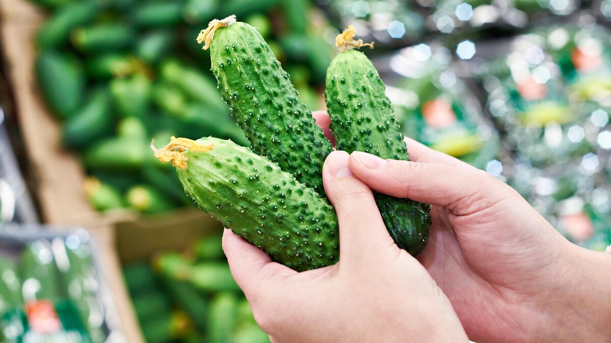 Не наткнитесь на старые огурцы в супермаркете: свежие легко отличить по двум признакам