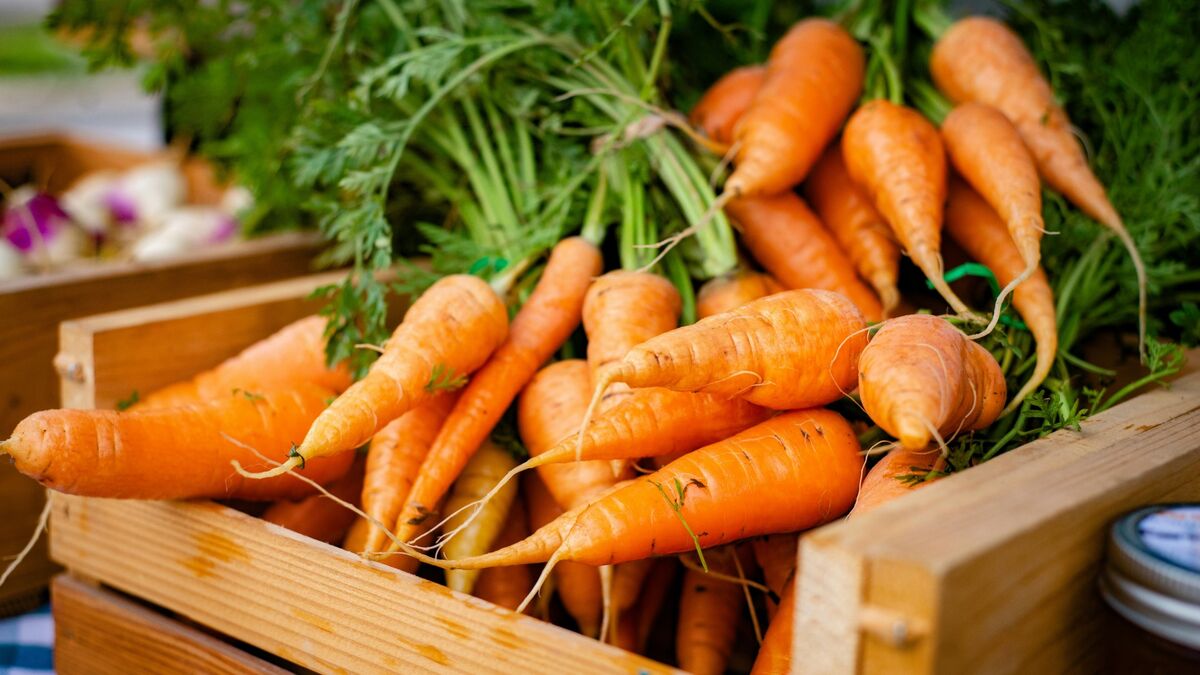 Ошибка будет стоить всего урожая: три действия, которые могут загубить морковь