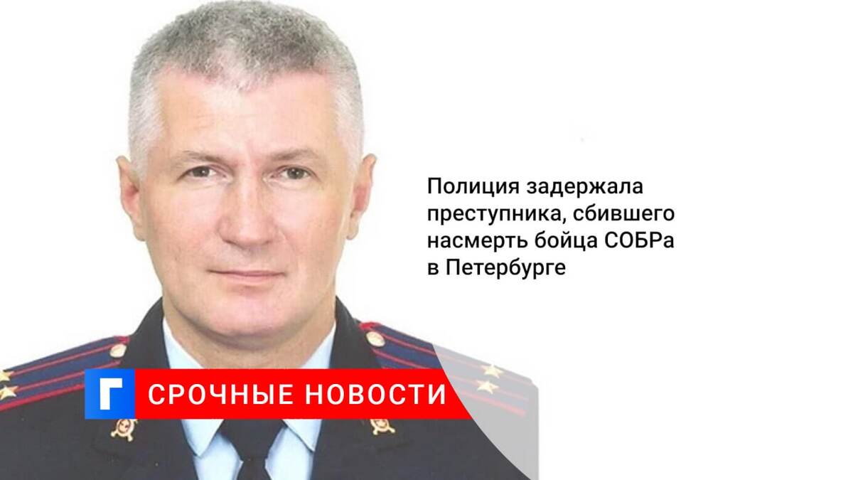 Полиция задержала преступника, сбившего насмерть бойца СОБРа в Петербурге