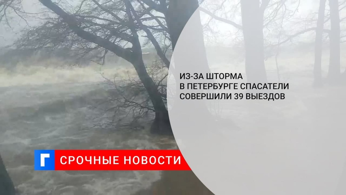 Из-за шторма в Петербурге спасатели совершили 39 выездов