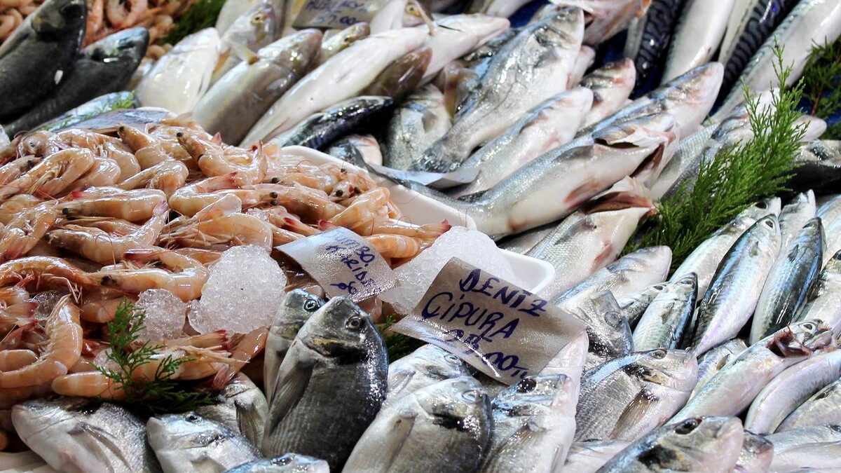 Доктор Мясников назвал несколько видов рыбы, которые не стоит употреблять в пищу