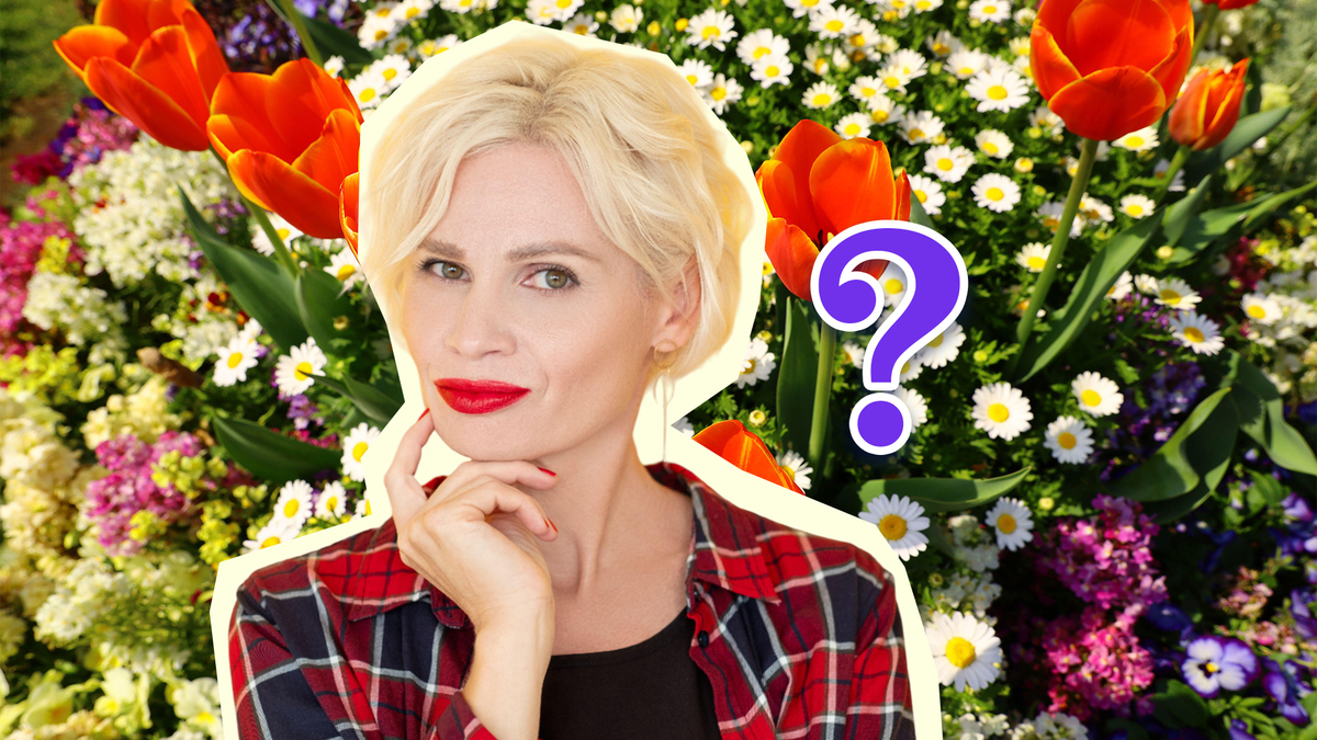 Запоздали с рассадой в марте? Эти 4 вида цветов можно сеять в апреле