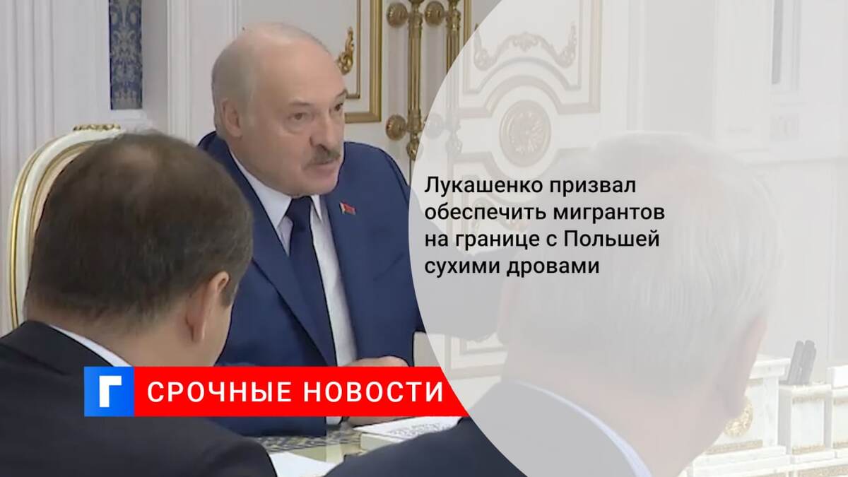 Лукашенко призвал обеспечить мигрантов на границе с Польшей сухими дровами