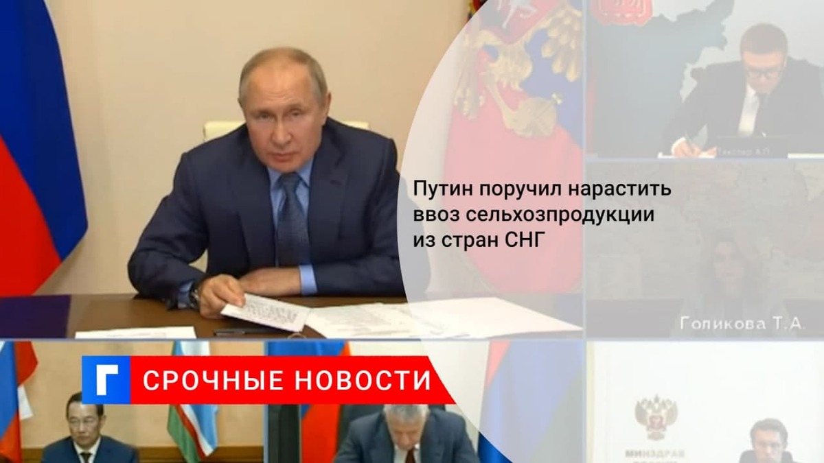 Путин поручил увеличить ввоз сельхозпродукции из стран СНГ для стабилизации цен