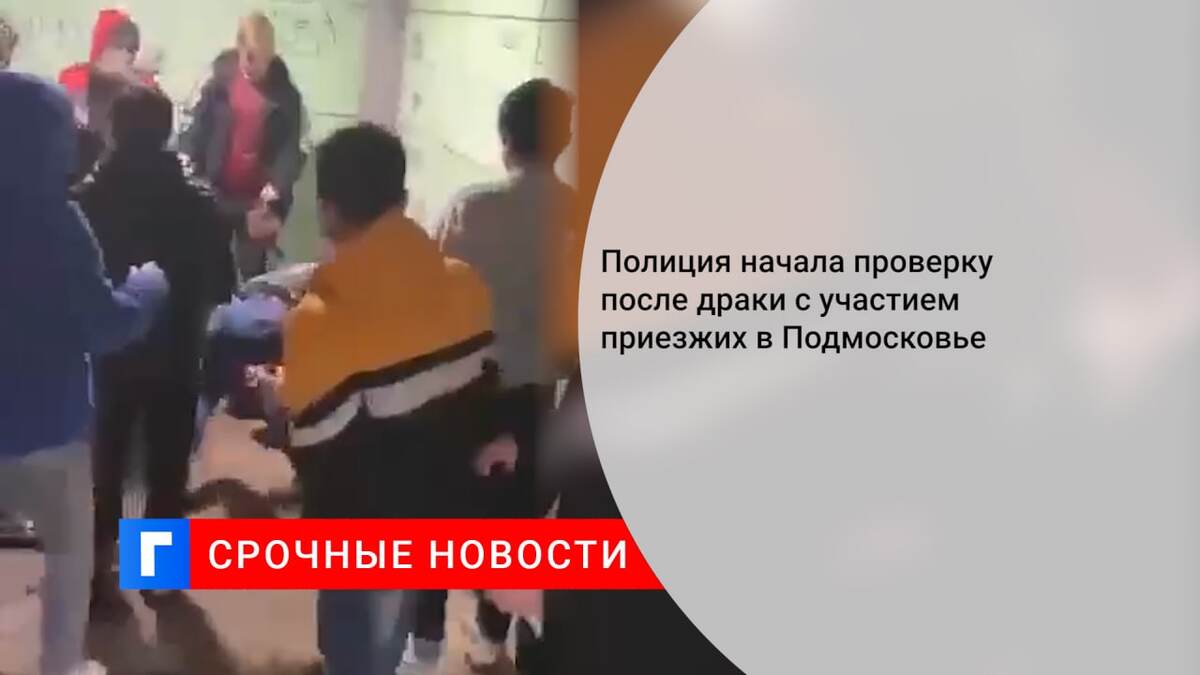 Полиция начала проверку после драки с участием приезжих в Подмосковье
