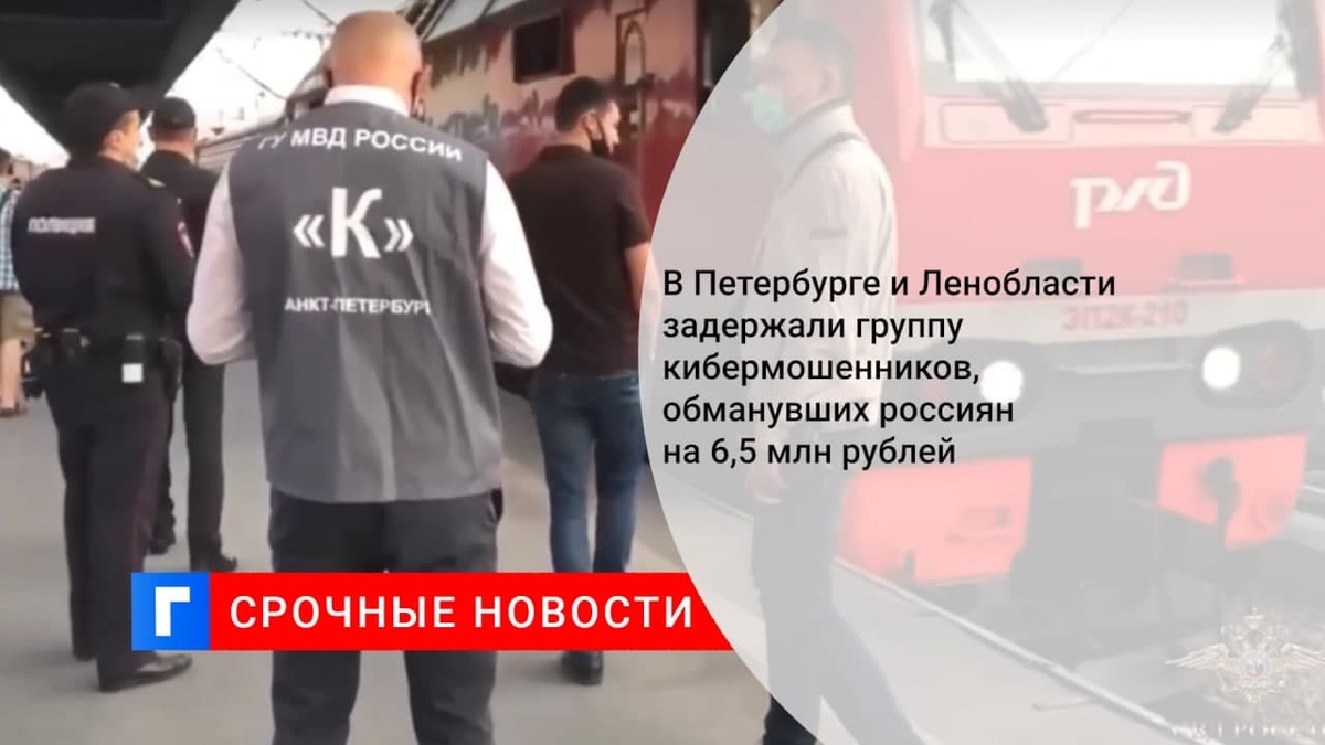 В Петербургском регионе задержана группа кибермошенников
