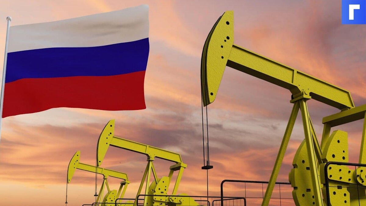 В Минприроды оценили обеспеченность России запасами нефти и газа